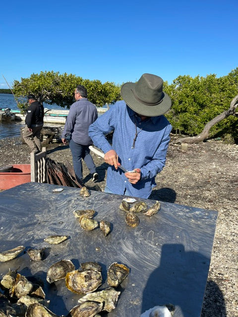 How to Shuck an Oyster: A Beginner's Guide