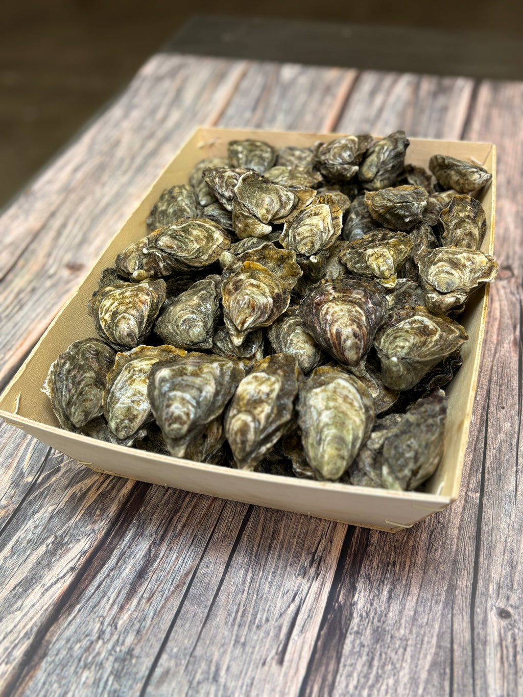 Premium Oysters