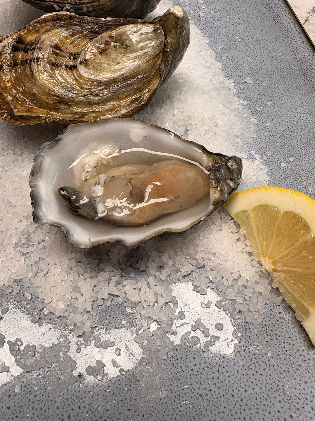 Premium Oysters