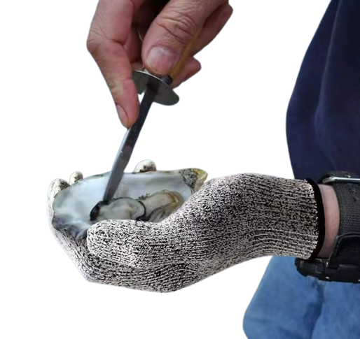 Shucking Essentials Kit
